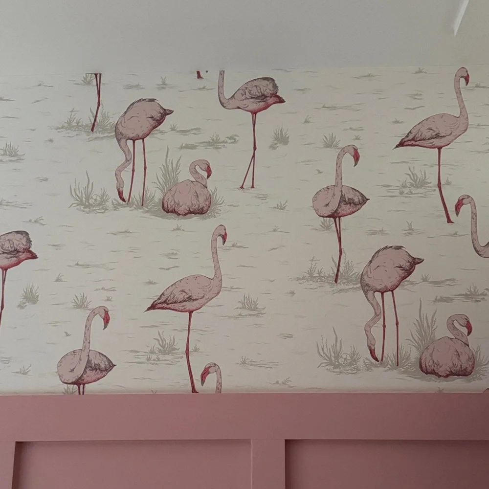 Cole and Sons Flamingo wallpaper